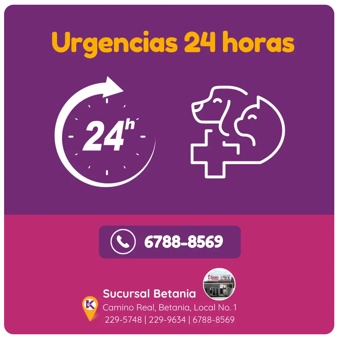UrgenciasServicioRC