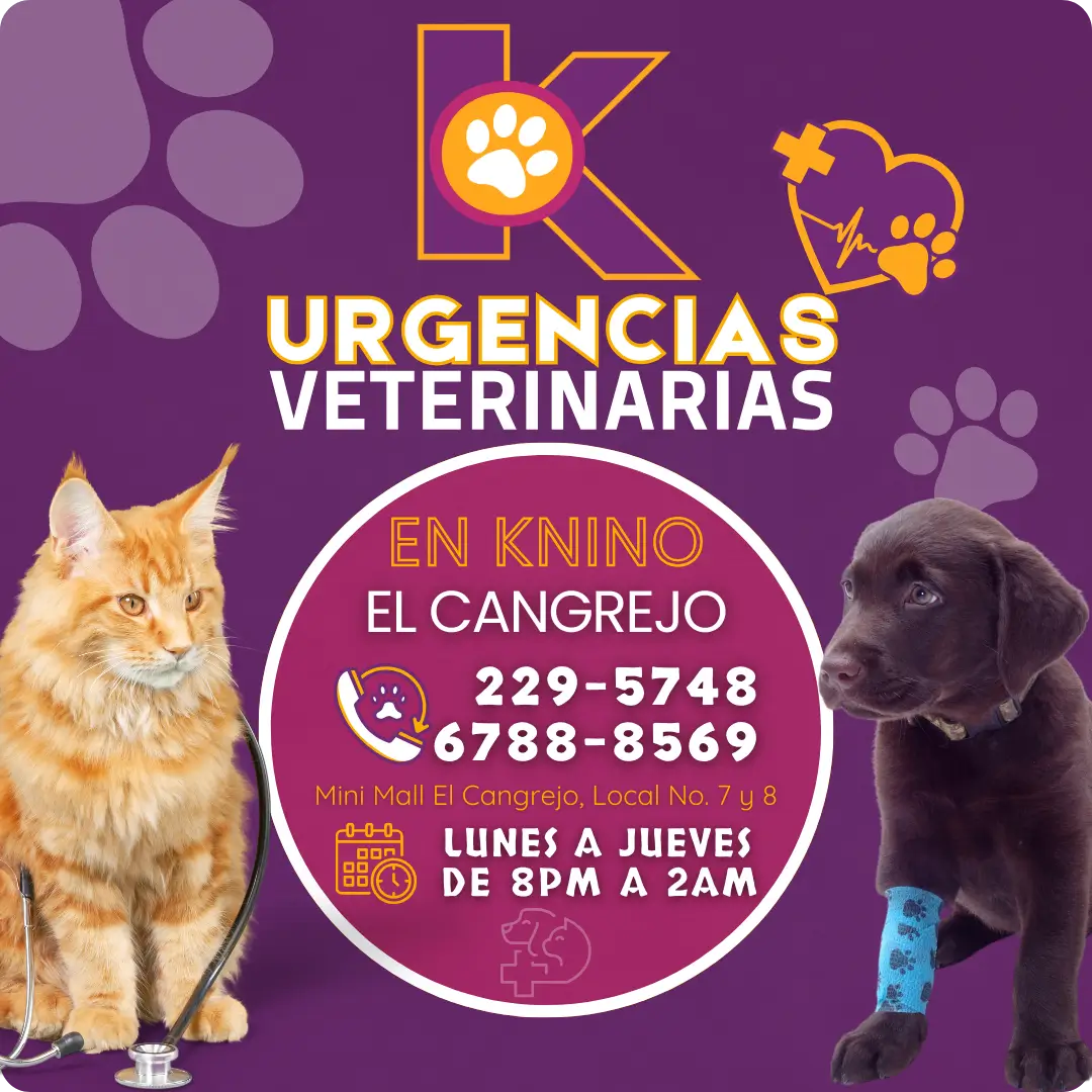 Knino-Urgencias-Nuevo-Para-Foto-Perfil-WhatsApp