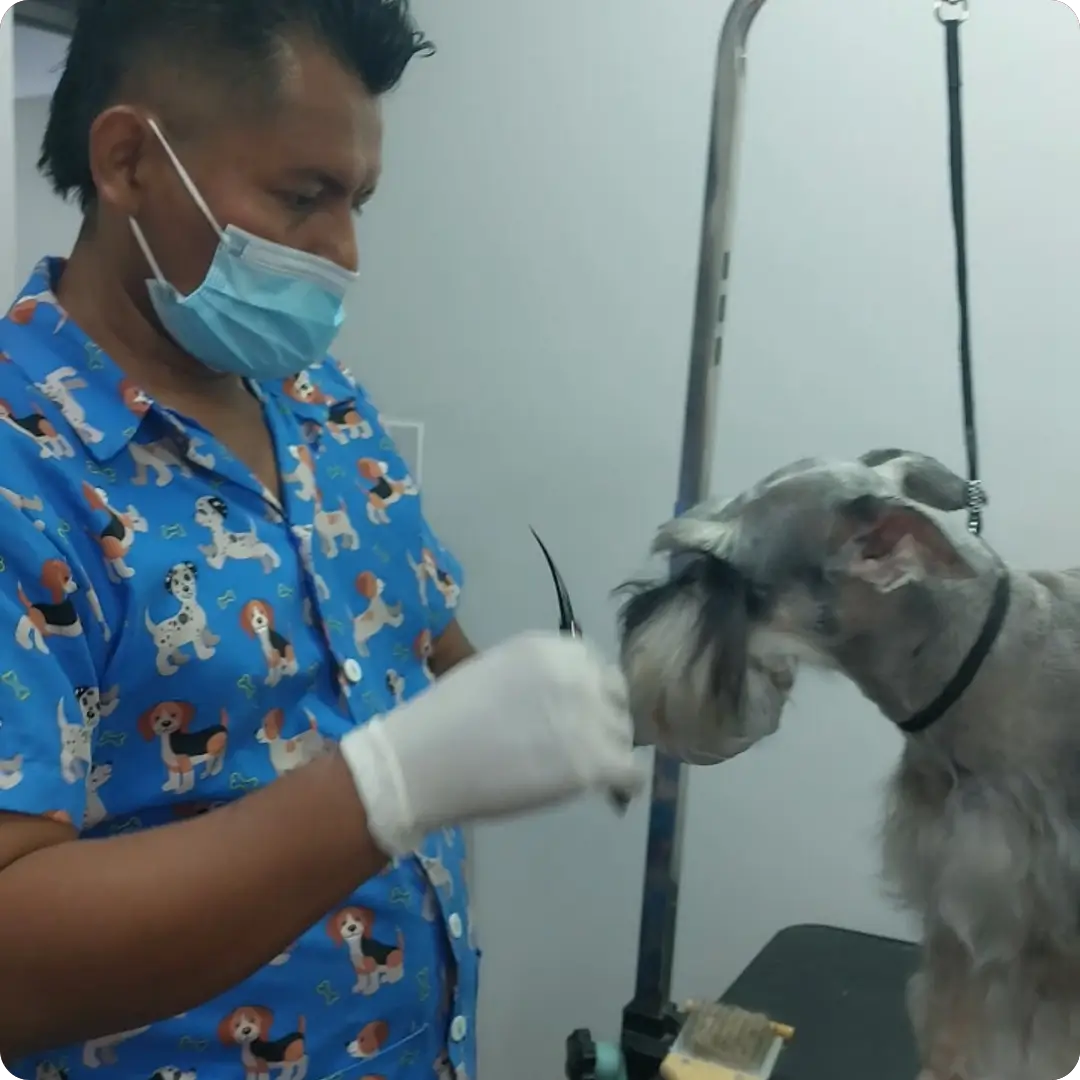 Peluqueria